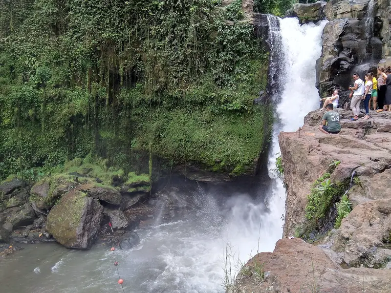 Tegenungan waterfall dropping past a moss-covered rock face into the pool below